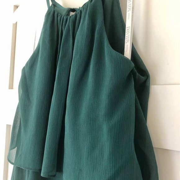 NEW Never Worn Chiffon Sheath Formal Dress - Picture 6 of 8